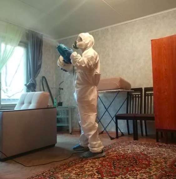 дезинсекция квартиры в Тамбове
